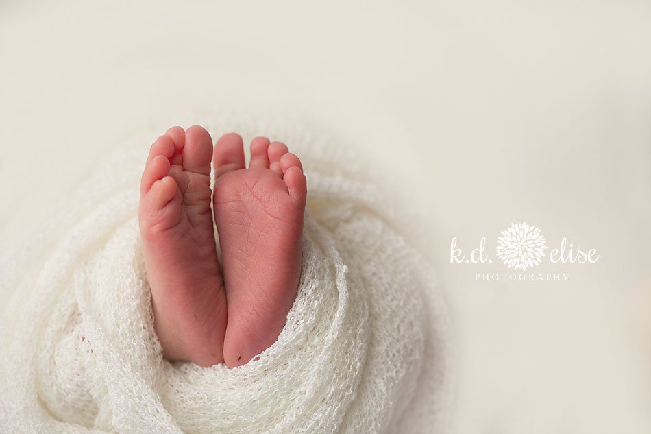 Tiny little baby feet, close up shot by Colorado Springs newborn photographer K.D. Elise Photography.