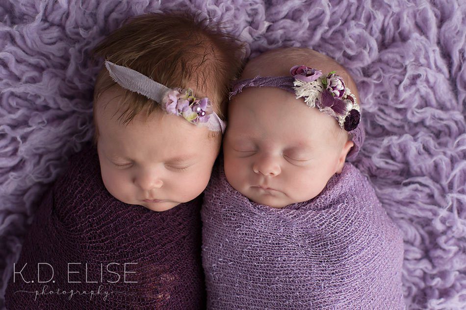 Twin baby girls wrapped in purple, on a purple fur rug. Newborn photography by K.D. Elise Photography.
