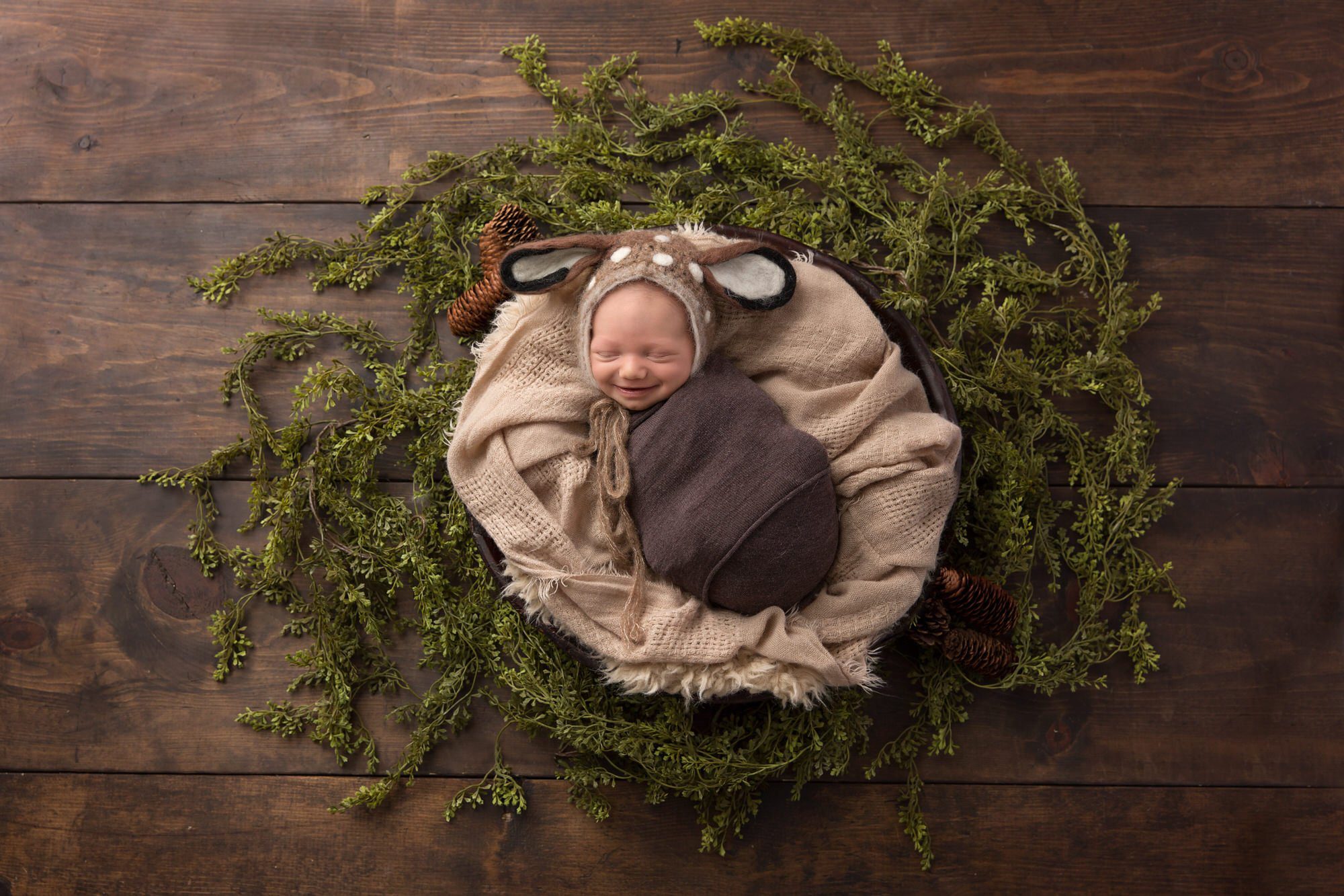 Newborn baby boy laying in a bowl with greenery around him. Photo by Pueblo-Colorado Springs photographer K.D. Elise Photography.